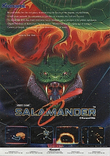 salamanderflyer.jpg